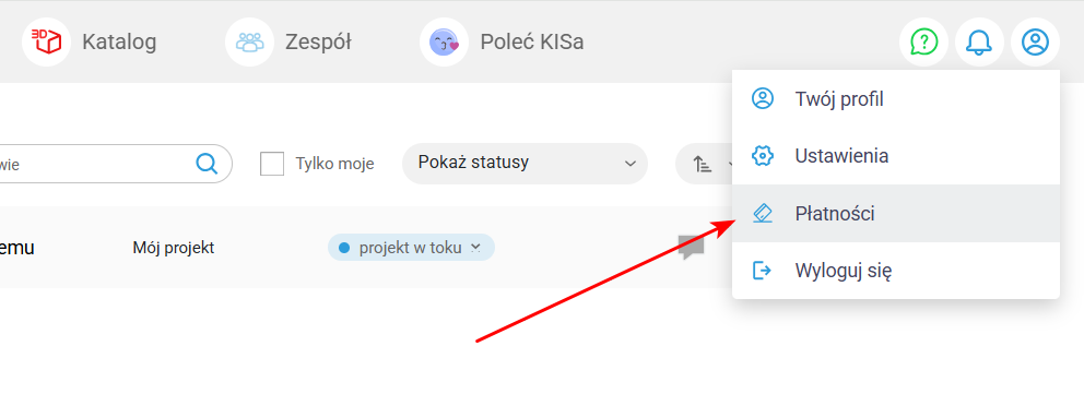 Zakładka płatności w KIS List